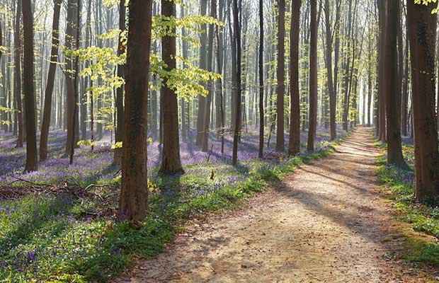 Siem Reap Trekking to Hoian -Hue Vietnam 17 Days